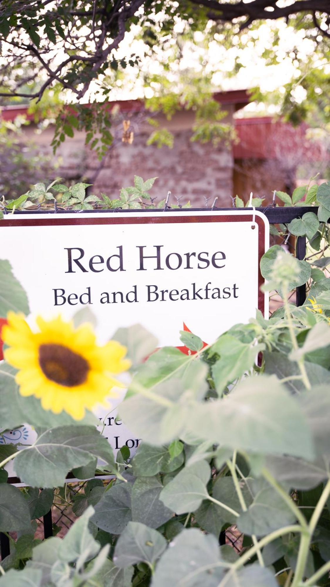 Red Horse Bed And Breakfast Albuquerque Luaran gambar