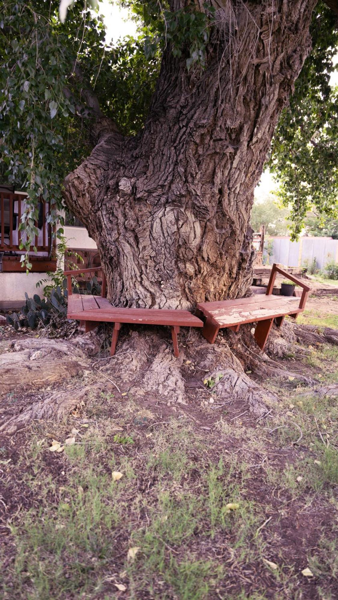 Red Horse Bed And Breakfast Albuquerque Luaran gambar