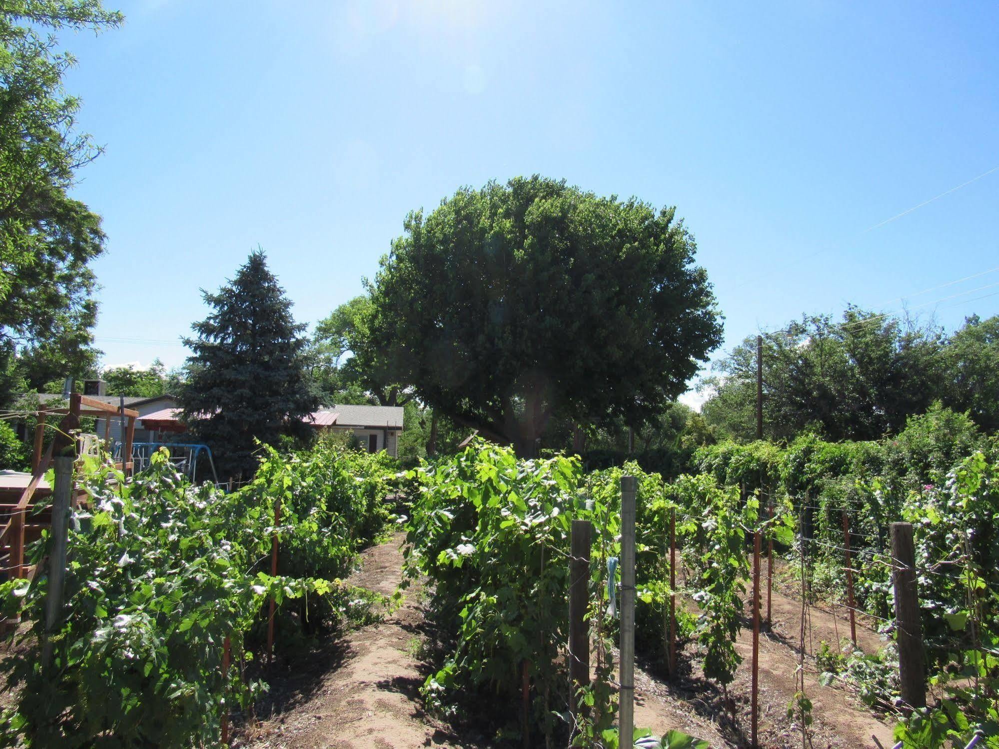 Red Horse Bed And Breakfast Albuquerque Luaran gambar